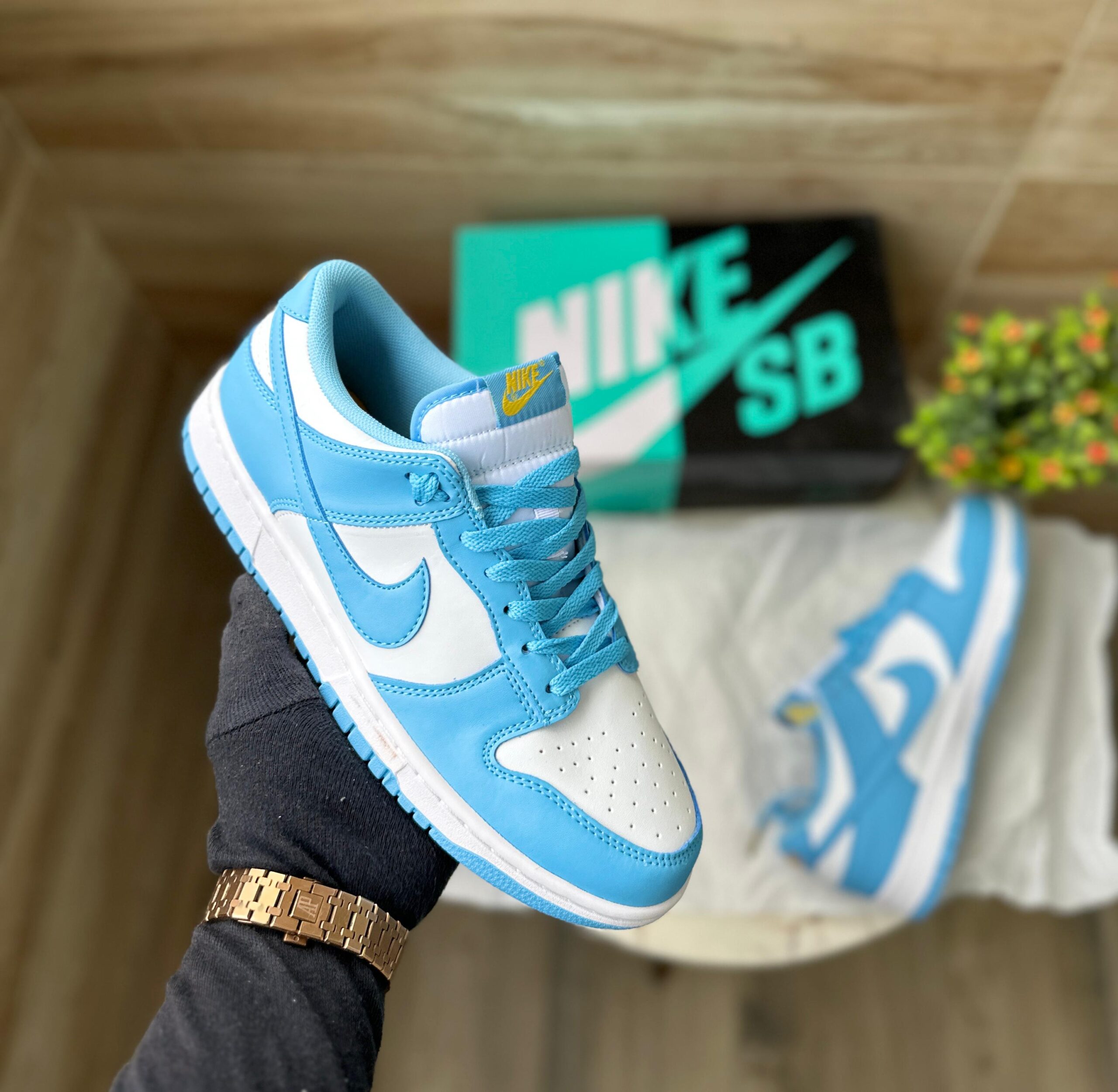 Nike SB Dunk UNC